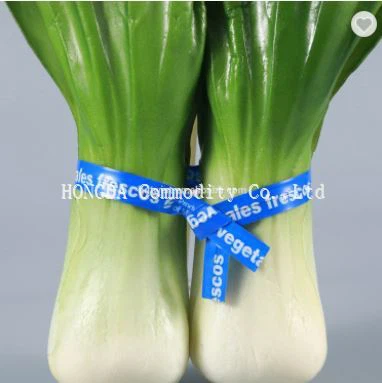 Food Grade Logo Printed PET Vegetable Twist Tie